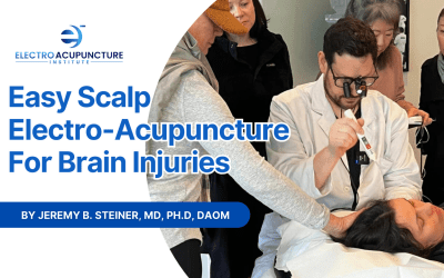Easy Scalp Electro-Acupuncture For Brain Injuries