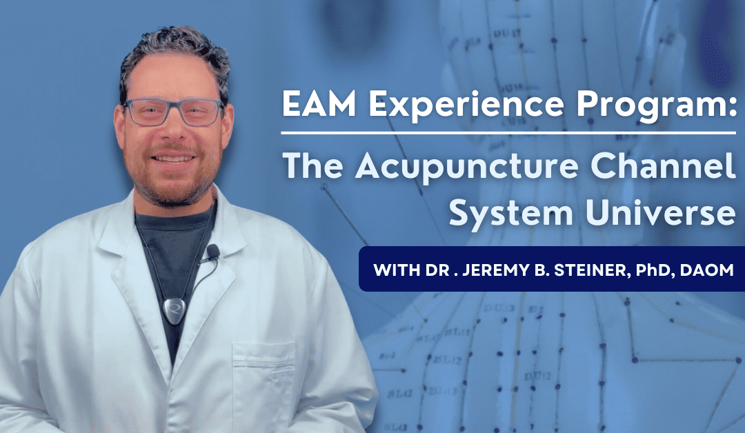 Sneak Peek Into The EAM Experience Program: The Acupuncture Channel System
