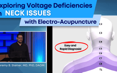 Easy and Rapid Diagnosis – Exploring Voltage Deficiencies in Neck Issues with Electro-Acupuncture