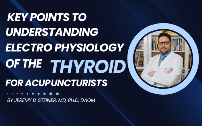 Key Points To Understanding Electro Physiology Of The Thyroid For Acupuncturists