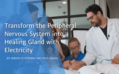 Key Notes on Transforming the Peripheral Nervous System into a Healing Gland with Electricity