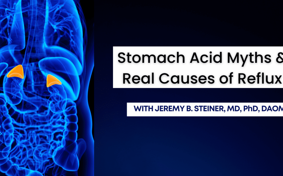 The Truth About the Stomach: Why Low Acid Causes Reflux (Not Too Much Acid)