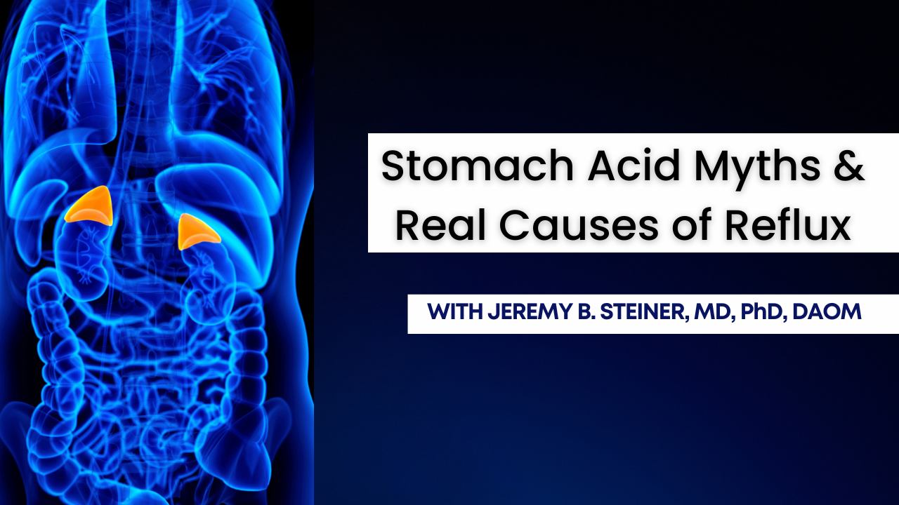 Adrenal Gland Physiology for Acupuncturists