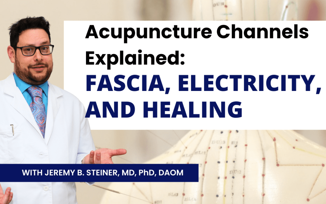 Acupuncture Channels Explained: Fascia, Electricity, and Healing