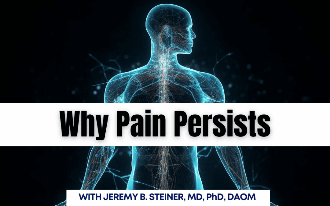 Why Pain Persists: The Terrain-Based Approach to Healing