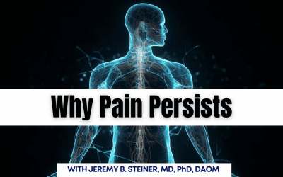 Why Pain Persists: The Terrain-Based Approach to Healing