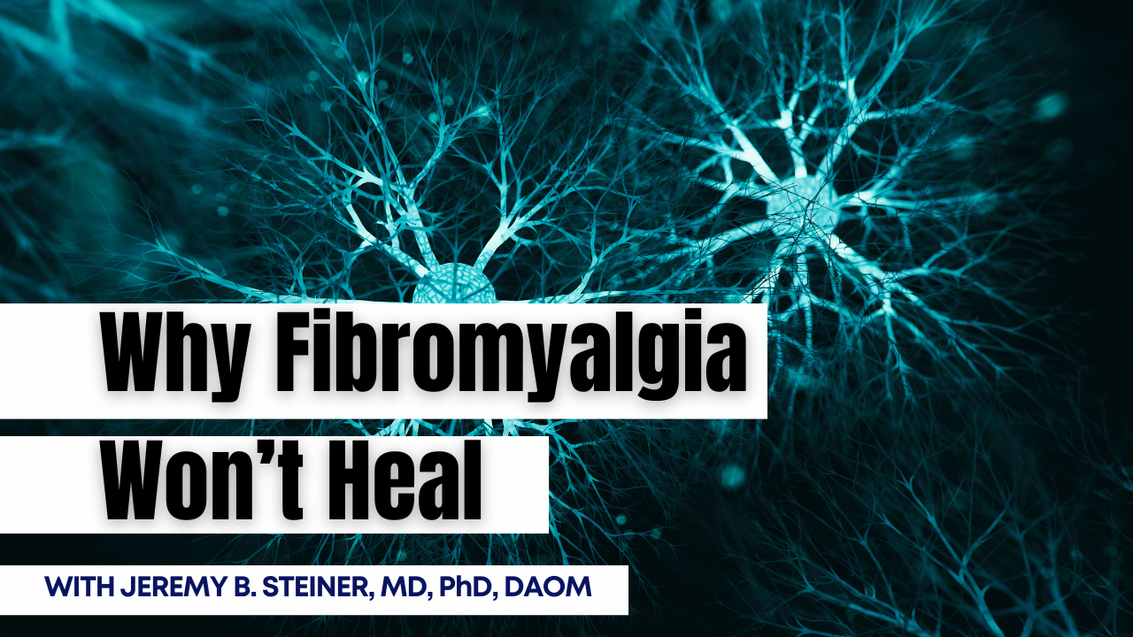 Adrenal Gland Physiology for Acupuncturists